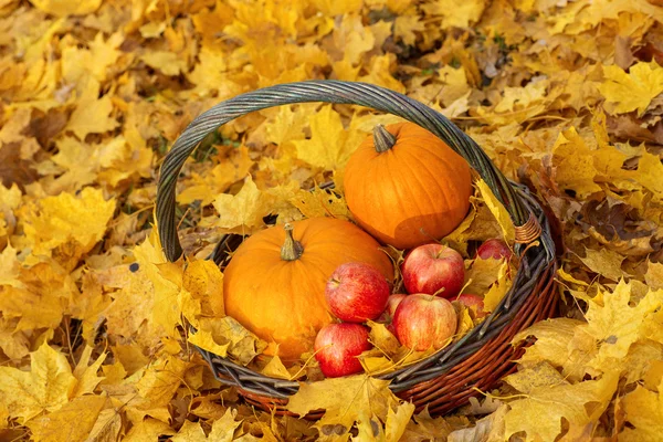 Pumpkin, apple, basket and leaves — Stock Photo, Image