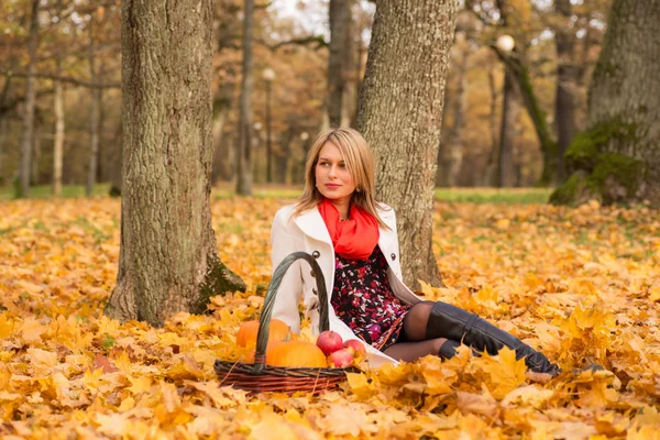 Beautiful young woman posing with pumpkin, apples — Stock Photo, Image