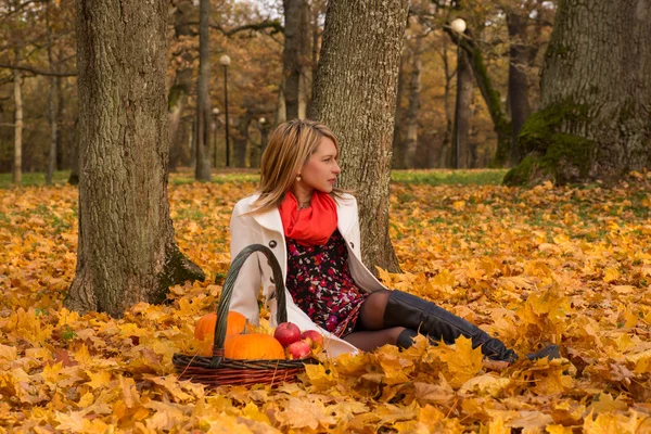 Beautiful young woman posing with pumpkin, apples — Stock Photo, Image