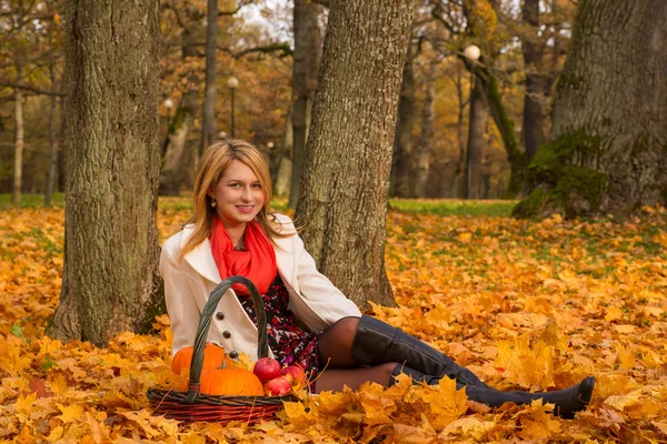 Bella giovane donna in posa con zucca, mele — Foto Stock