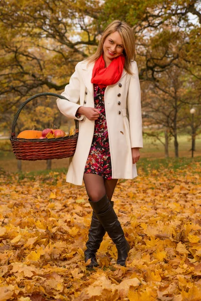 Beautiful young woman posing with pumpkin, apples — Stock Photo, Image