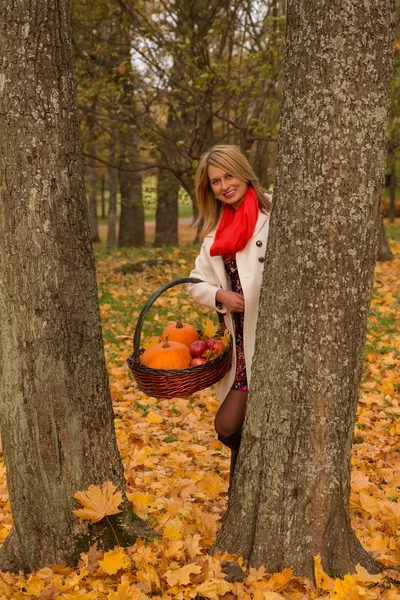 Krásná mladá žena pózuje s dýně, jablka — Stock fotografie