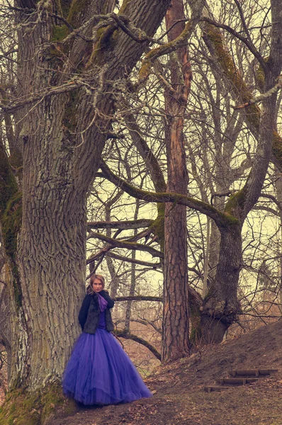 Mulher na floresta com vestido violeta — Fotografia de Stock