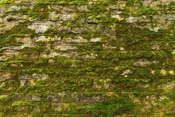 Oude stenen muur — Stockfoto