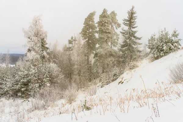 Beau paysage hivernal dans les montagnes — Photo