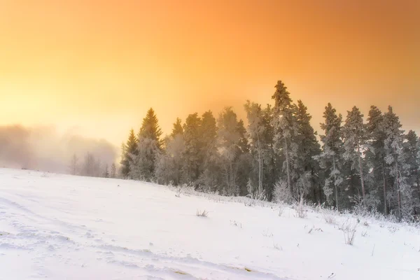 山中美丽的冬季风景 图库图片