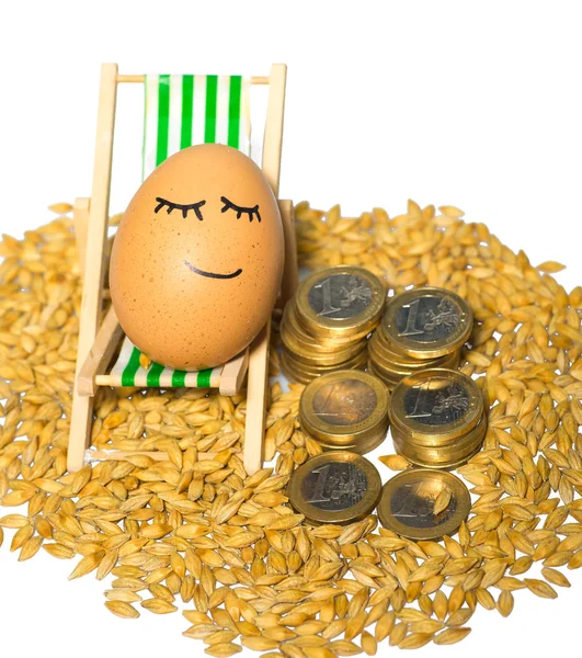 Funny egg and euro coins with seeds — Stock Photo, Image