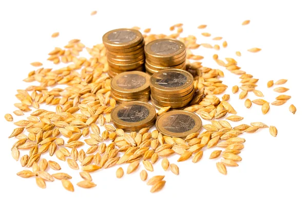 Euro coins with seeds — Stock Photo, Image