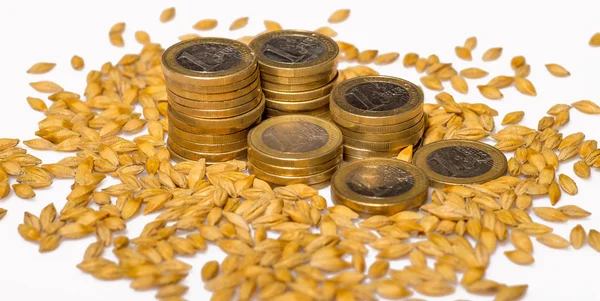 Euro coins with seeds — Stock Photo, Image