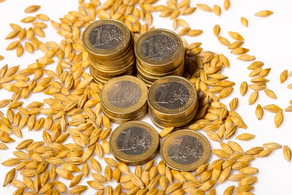 Euro coins with seeds — Stock Photo, Image