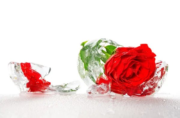 Red rose frozen in an ice — Stock Photo, Image