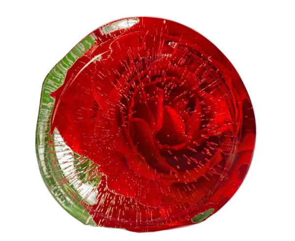 Red rose frozen in an ice — Stock Photo, Image