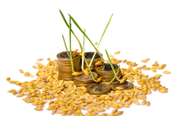 Пачка монет и семян риса — стоковое фото