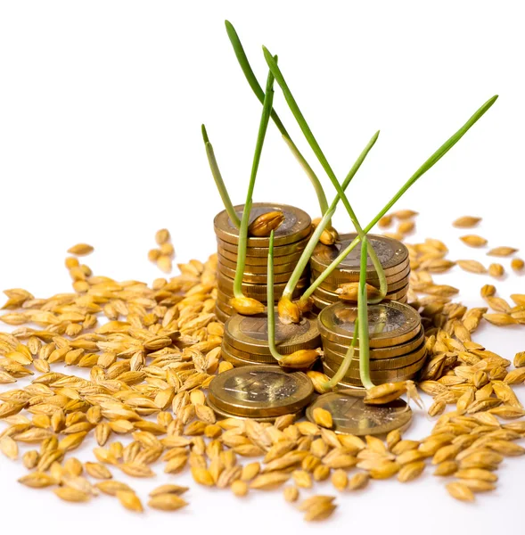 Стек монет і насіння рису — стокове фото
