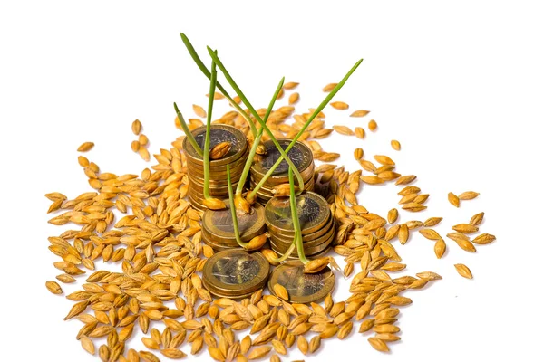 Empilement de pièces et de graines de riz — Photo