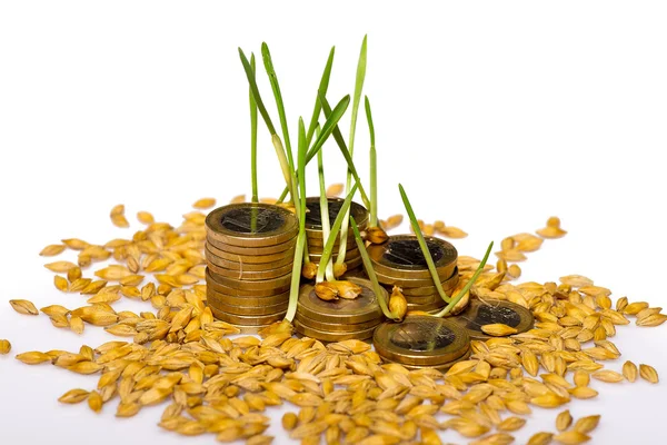 Stack of coins and rice seeds — Stock Photo, Image