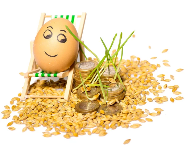 Vtipné vajíčko a zásobníku mincí a osiva rýže — Stock fotografie