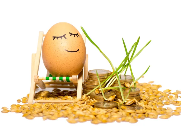 Oeuf drôle et pile de pièces et de graines de riz — Photo