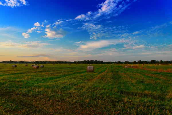 End of day over field with hay bale — Stock Photo, Image