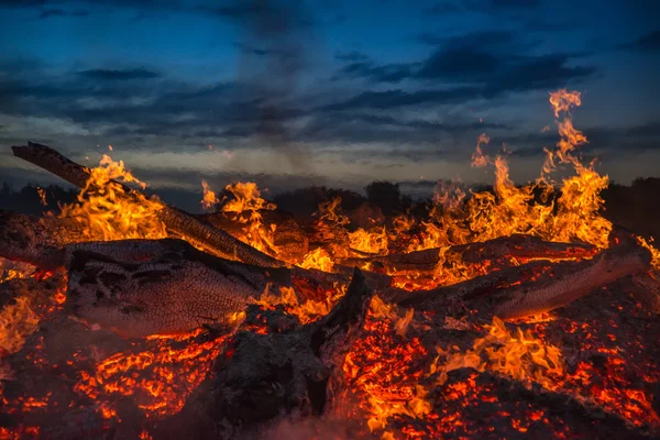 Landschap met vreugdevuur, nacht en hete vlam. — Stockfoto