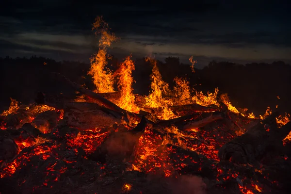 Pemandangan dengan api unggun, malam dan api panas . — Stok Foto