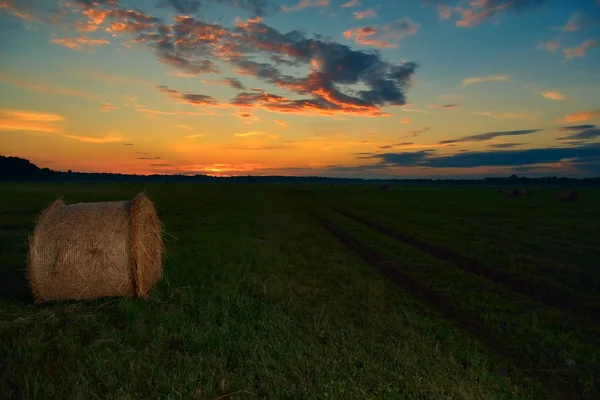 Campo com fardos de feno no crepúsculo. — Fotografia de Stock