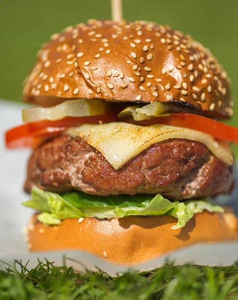 Leckere gegrillte Burger auf einem Gras — Stockfoto