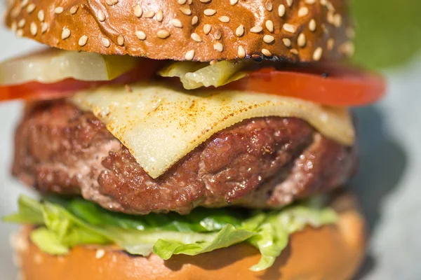 Tasty grilled burger on a grass — Stock Photo, Image