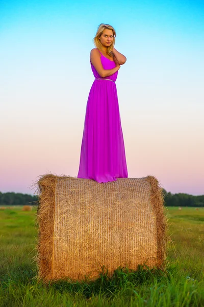 Mulher feliz com feno no campo de prados — Fotografia de Stock