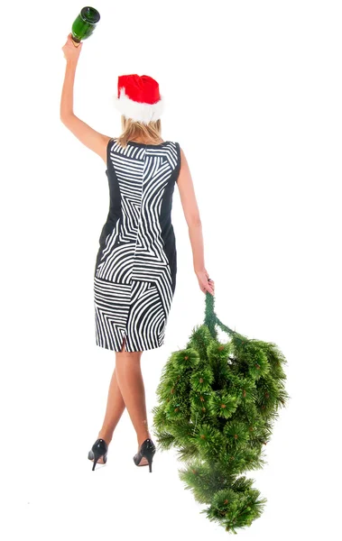 Woman with a bottle of champagne and christmas tree. — Stock Photo, Image