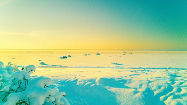 Winter sea landscape — Stock Photo, Image