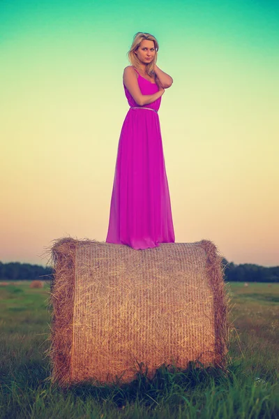 Gelukkige vrouw met hooi in weide veld — Stockfoto