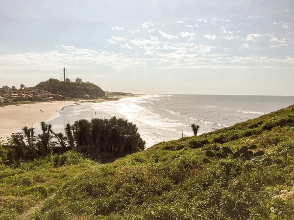 Naturaleza brasileña — Foto de Stock