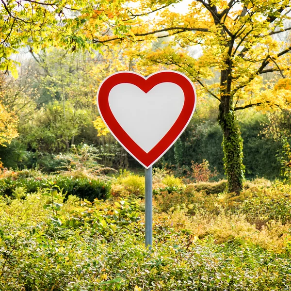 Ormanın içinde kalp işareti - Stok İmaj