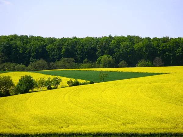 Paysage coloré dans le Kraichgau — Photo