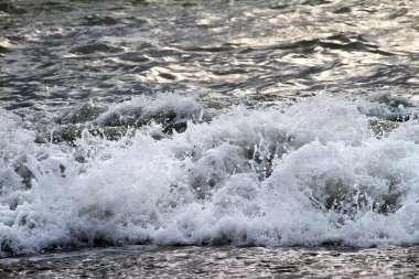 Beach Soçi'Karadeniz kıyısında. Rusya
