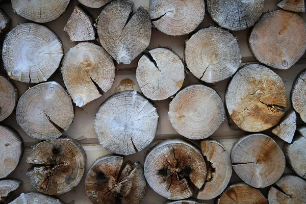 Background Natural Wood Surface — Stock Photo, Image