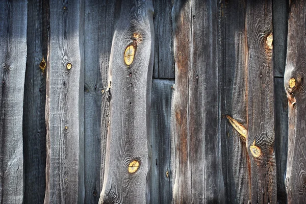 Trästruktur — Stockfoto