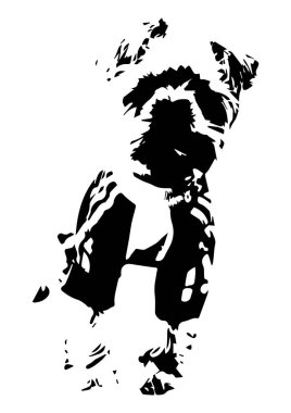 Köpek Yorkshire Terrier cinsinin silueti. Tasarım için vektör illüstrasyonu