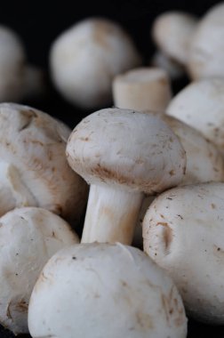 Şampiyon mantarları yakın plan pişirmeden önce. Sığ alan derinliği