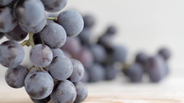 Bunch Blue Grapes Stacked Light Surface Closeup Shallow Depth Field — Stock Video