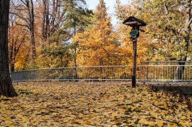 Park Avenue Köprüsü sonbahar