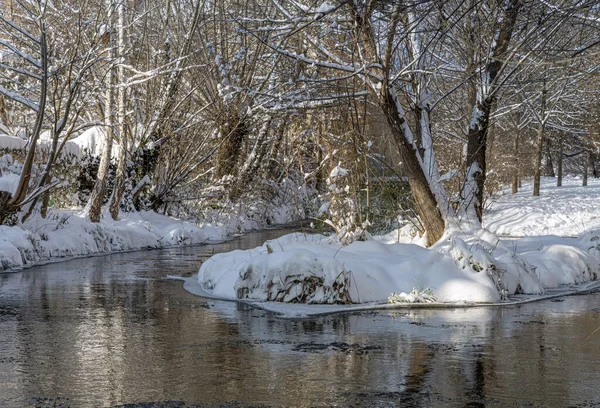snow-covered island in the middle of an ice-free stream with banks covered with forest