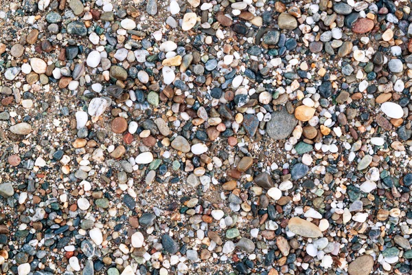 Colored sea pebbles closeup — Stock Photo, Image