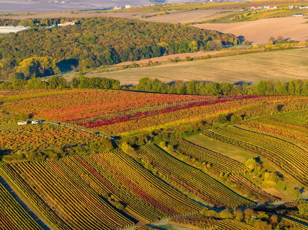 Moravya 'nın güneyinde Moravya Tuscany adında güzel yuvarlanan bir manzara. Çek Cumhuriyeti 'nden. Yüksek kalite fotoğraf