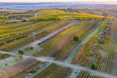 Güzel bir sonbahar manzarası. Buzullar vadiyi renklendiriyor. Çek Cumhuriyeti - Moravya Toskana. Tarım, seyahat, çevre ve doğa kavramı. Manzara fotoğrafçıları için dünyaca ünlü bir bölge. Hava görüntüsü. Yüksek kalite fotoğraf