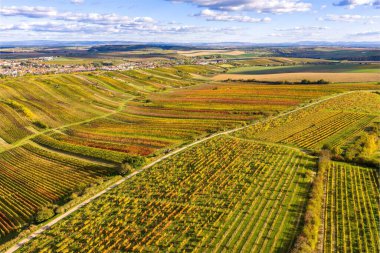 Güzel bir sonbahar manzarası. Çek Cumhuriyeti - Güney Moravya Moravya Toskana. Tarım, seyahat, çevre ve doğa kavramı. Manzara fotoğrafçıları için dünyaca ünlü bir bölge. Hava görüntüsü. Yüksek kalite fotoğraf