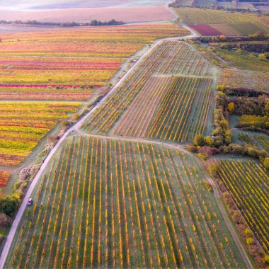 Güzel bir sonbahar manzarası. Buzullar vadiyi renklendiriyor. Çek Cumhuriyeti - Moravya Toskana. Tarım, seyahat, çevre ve doğa kavramı. Manzara fotoğrafçıları için dünyaca ünlü bir bölge. Hava görüntüsü. Yüksek kalite fotoğraf