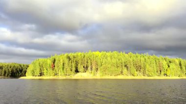Öğleden sonra Finlandiya 'nın en büyük gölü olan Saimaa' nın kıyılarının manzarası. Nesli tükenmekte olan bir tatlı su foku olan Saimaa halkalı foku sadece Saimaa 'da yaşar. Soyu tükenmekte olan göllerden biri de Saimaa somonu. Yüksek kaliteli film