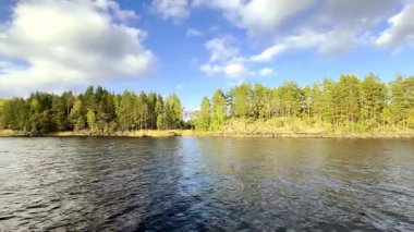 Öğleden sonra Finlandiya 'nın en büyük gölü olan Saimaa' nın kıyılarının manzarası. Nesli tükenmekte olan bir tatlı su foku olan Saimaa halkalı foku sadece Saimaa 'da yaşar. Soyu tükenmekte olan göllerden biri de Saimaa somonu. Yüksek kaliteli film